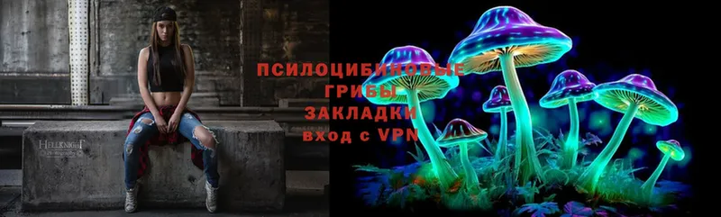 купить наркотик  Кедровый  Псилоцибиновые грибы Psilocybe 